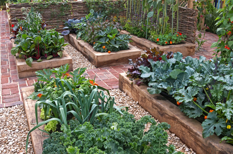 Common Raised Bed Mistakes You Must Avoid