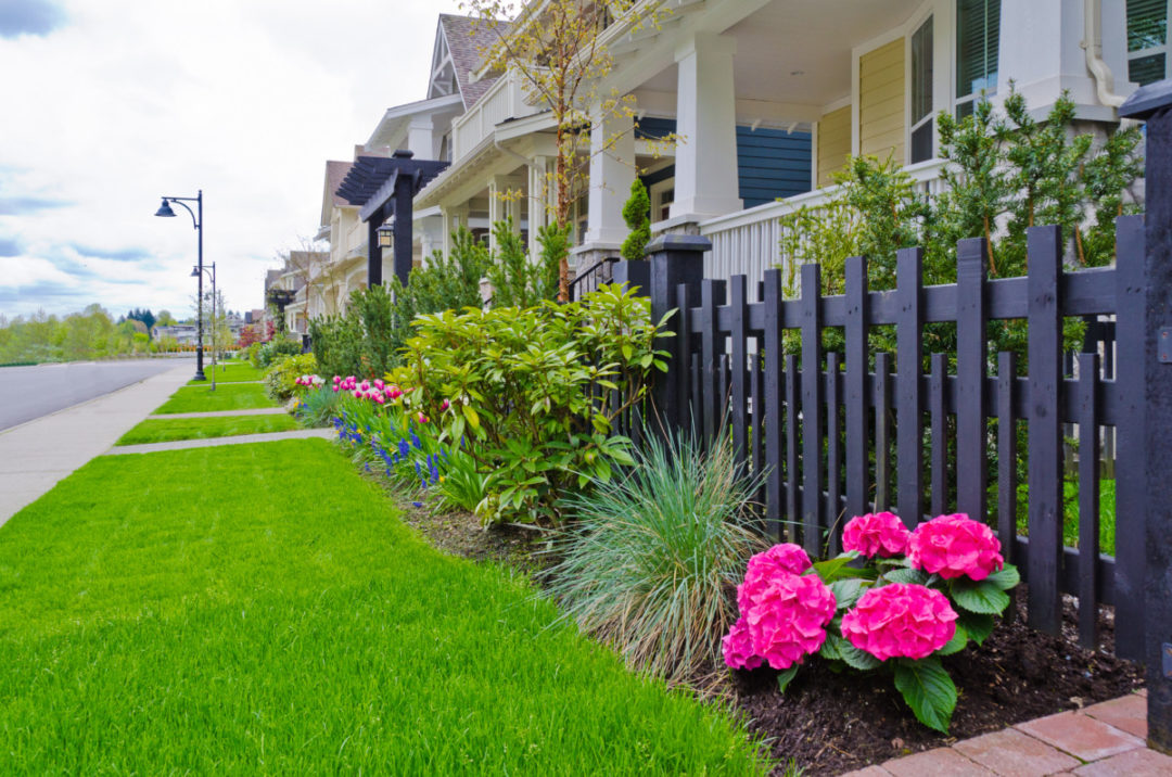 How To Create A Pollinator Paradise Without Getting Overwhelmed