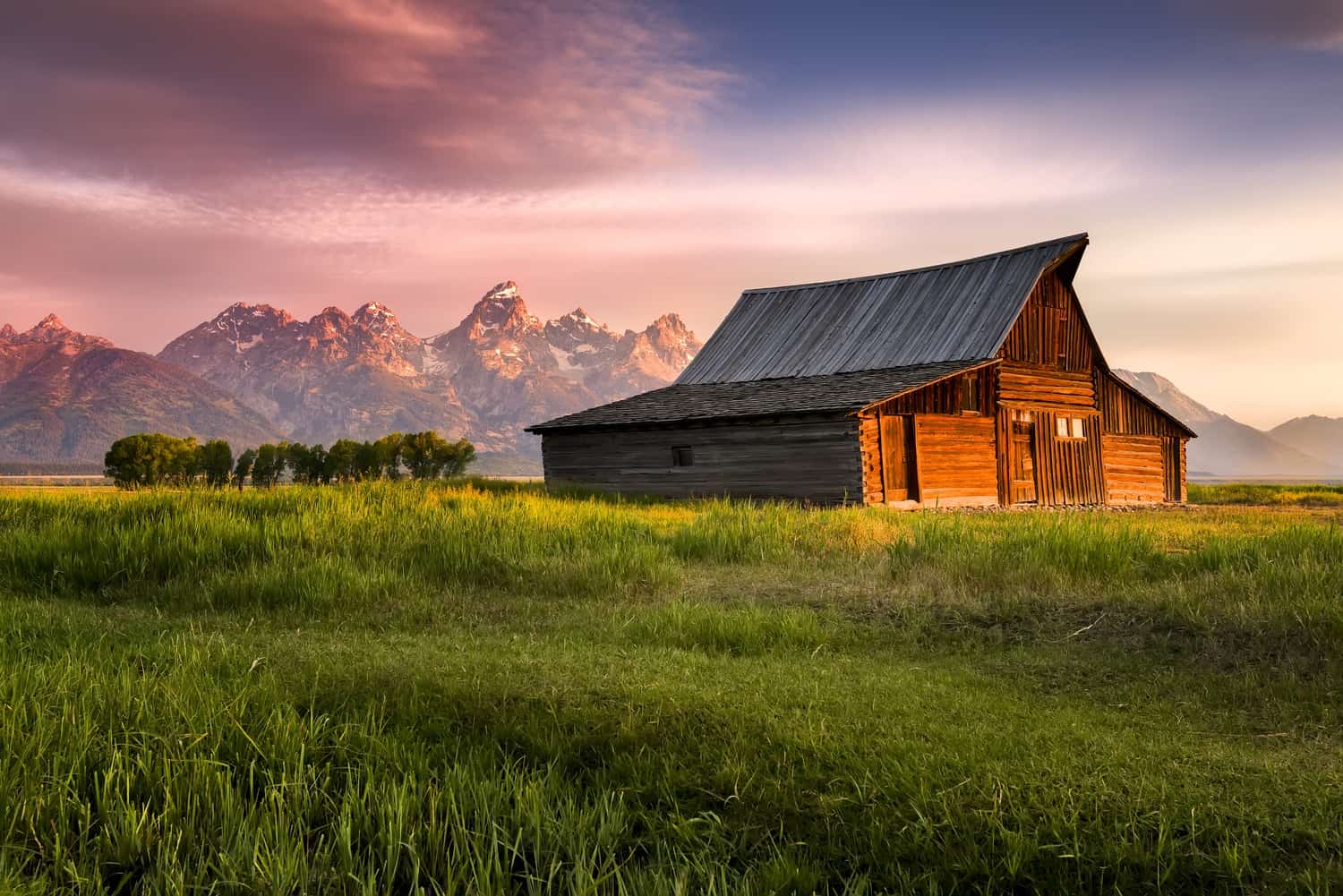 10 Reasons To Leave The City Move To A Homestead