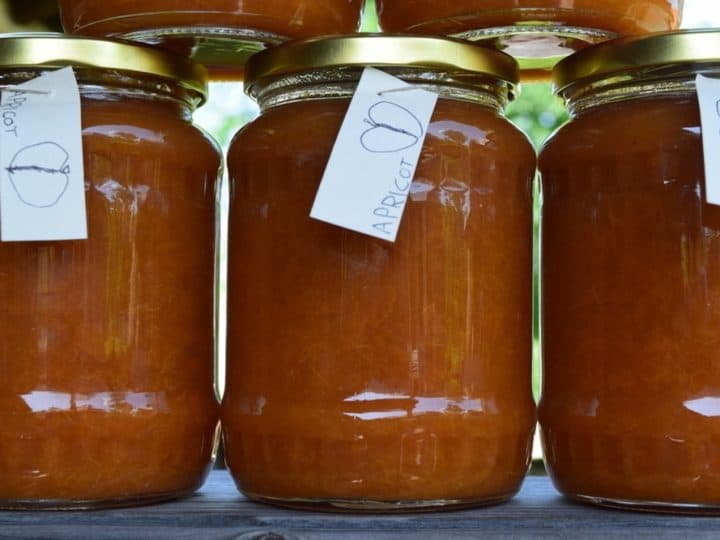 preserving apricots