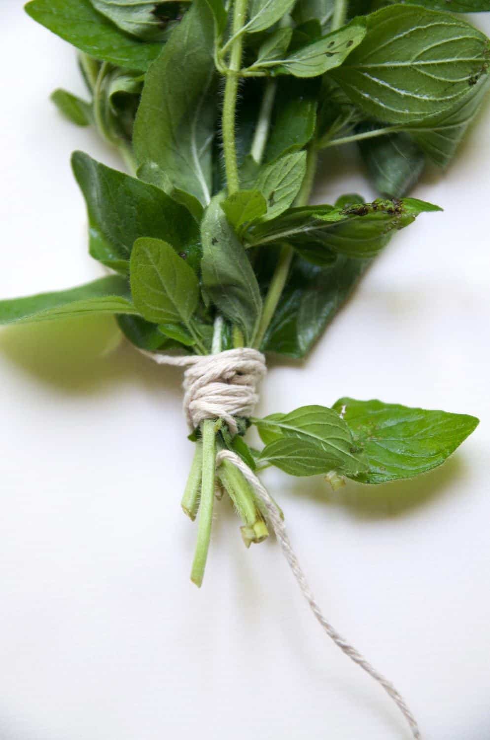 How To Dry Fresh Herbs At Home Two Ways   DSC 9837 