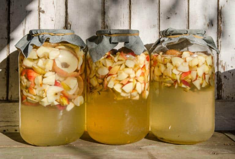 10 Ways to Use Ripe & Unripe Windfall Apples