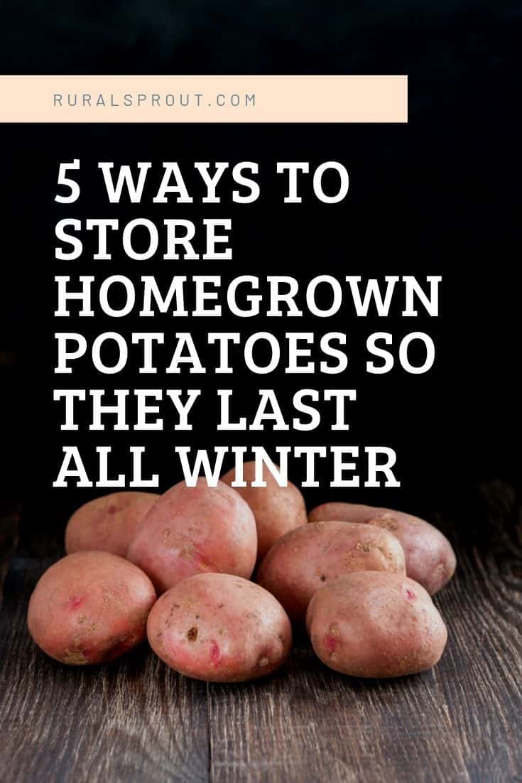 5 Ways To Store Potatoes So They Last For Months   Store Potatoes Pin 