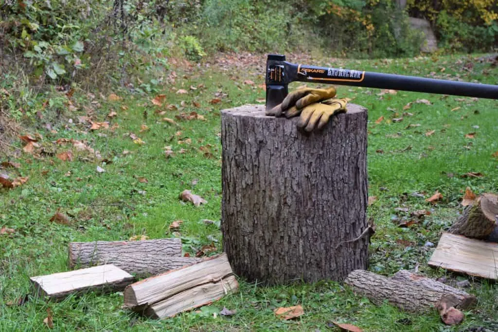 What's the Best Wood to Burn in Your Wood Stove?