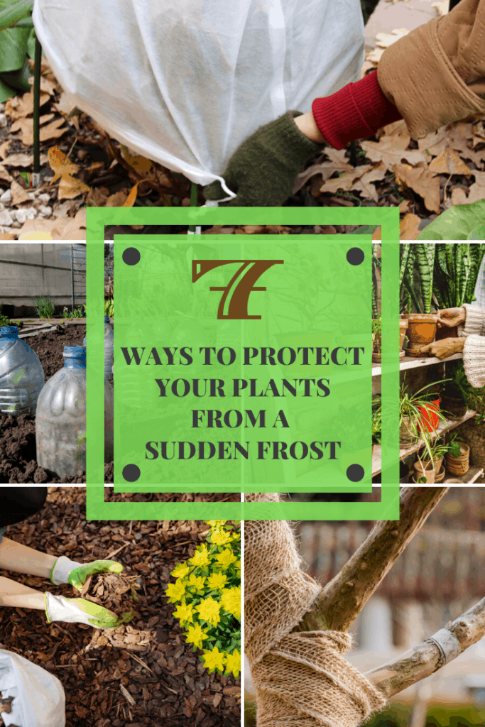 Protect your crops against frost