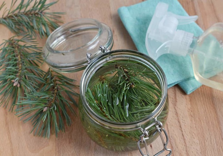 22 Impressive Pine Needle Uses You'd Never Have Thought Of