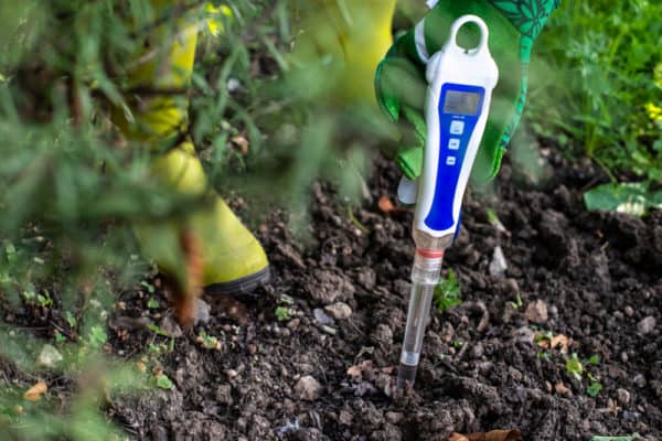 8 Ways To Make Your Soil More Acidic (& 5 Things Not To Do)