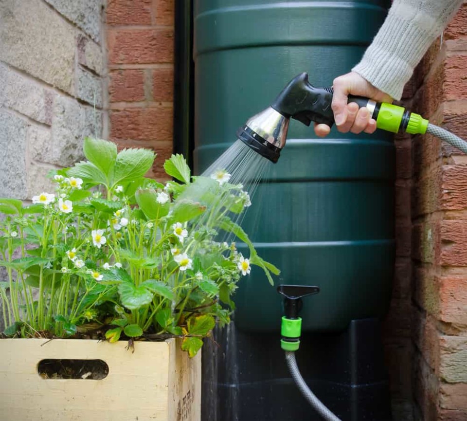 How To Set Up A Rainwater Collection System & 8 DIY Ideas