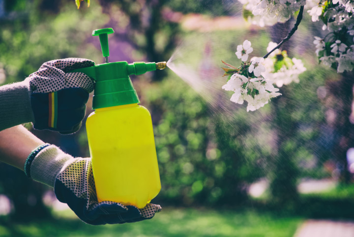 3 Organic Pesticides That Really Work (But Only As a Last Resort)