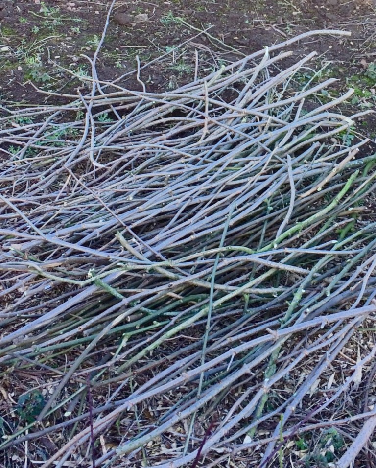 How To Make a Wattle Fence With Branches