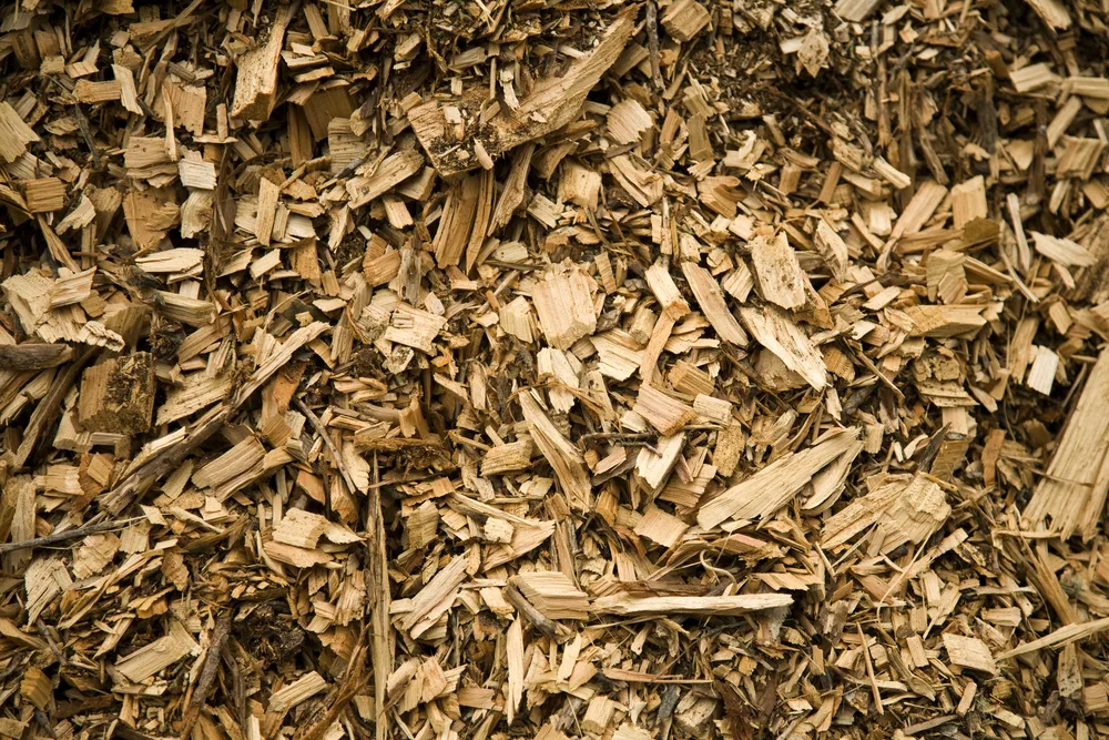 Wood Chips as Fuel— Benefits of Using a Wood Chip Boiler
