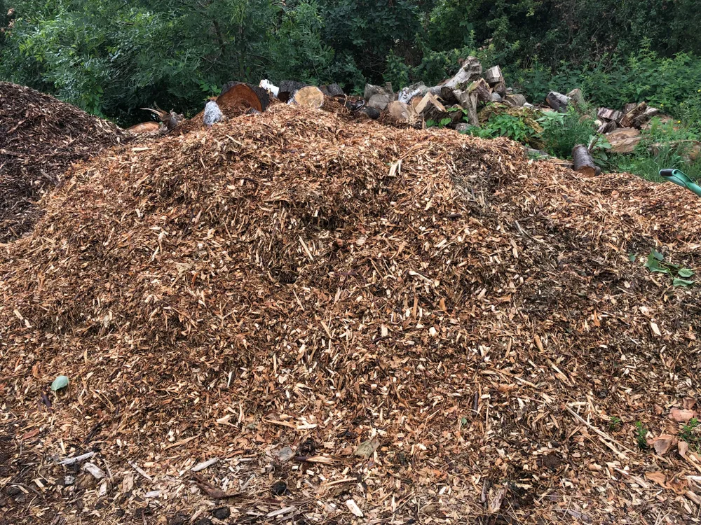 Pile of old wood chips , scrap wood - for Background Stock Photo