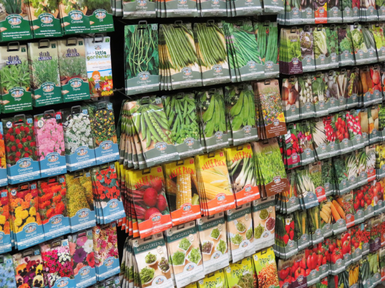 Buying Garden Seeds: Everything You Need To Know