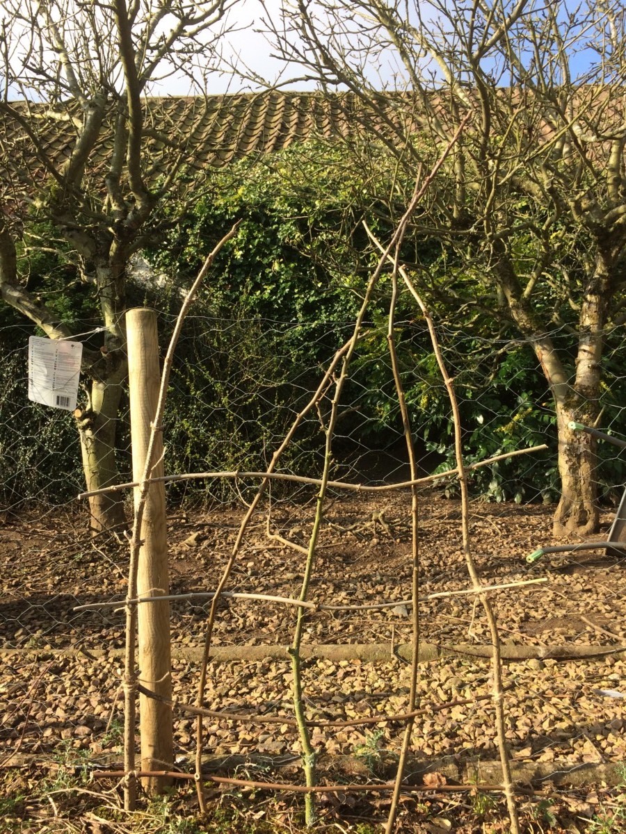 How To Make a Rustic Trellis Out of Branches