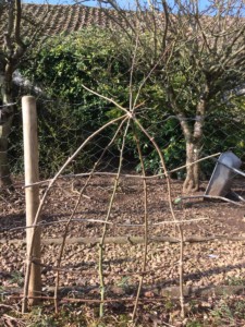 How To Make a Rustic Trellis Out of Branches