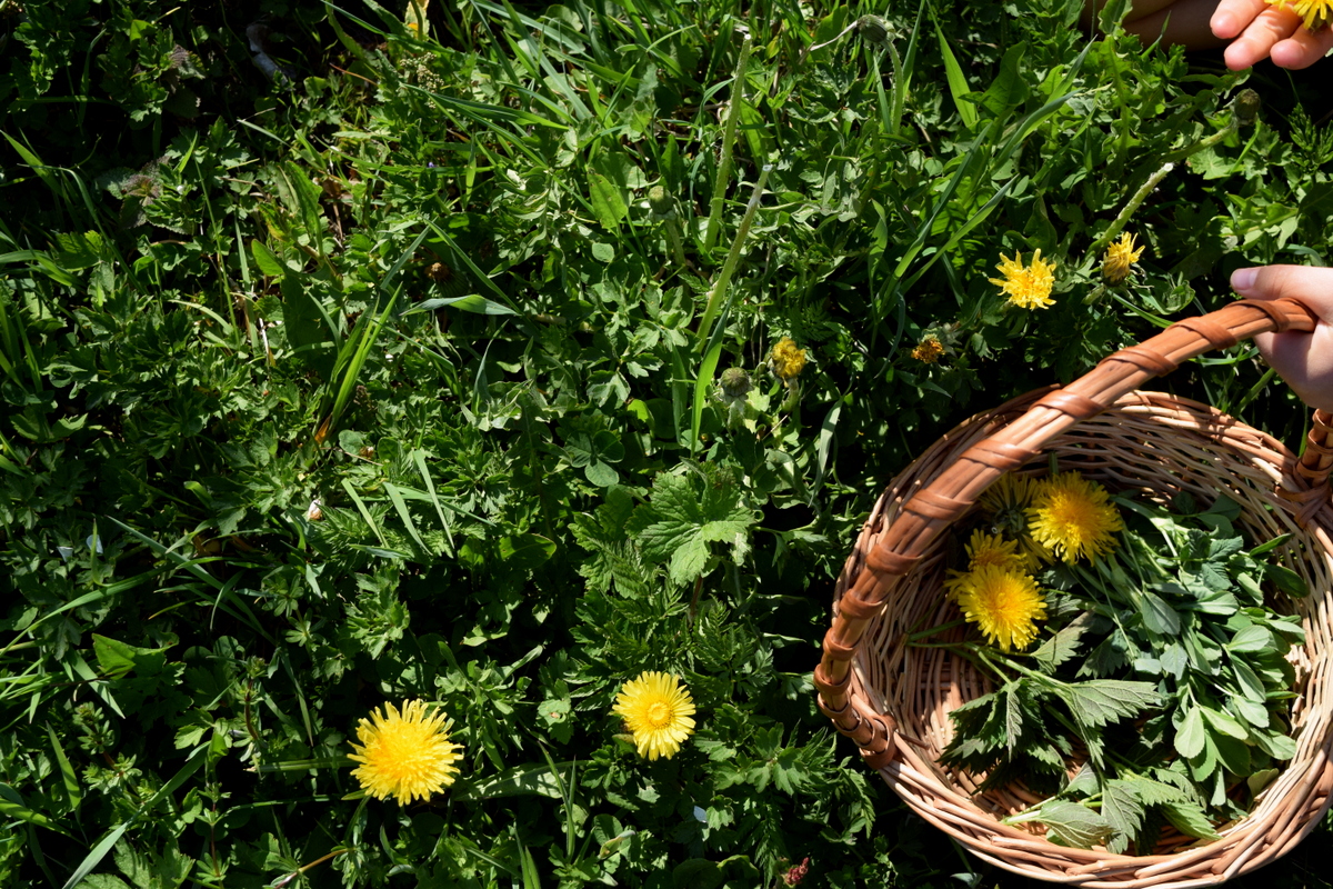 How To Make A Spring Herbal Infused Vinegar