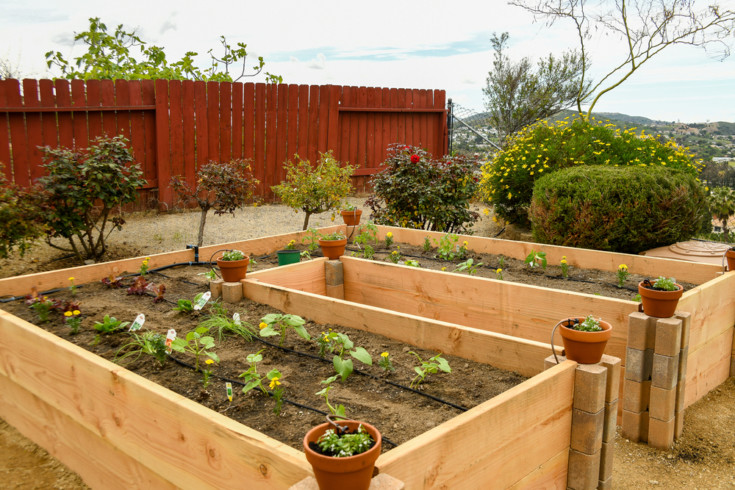 12 Coolest Raised Bed Kits Available on Amazon