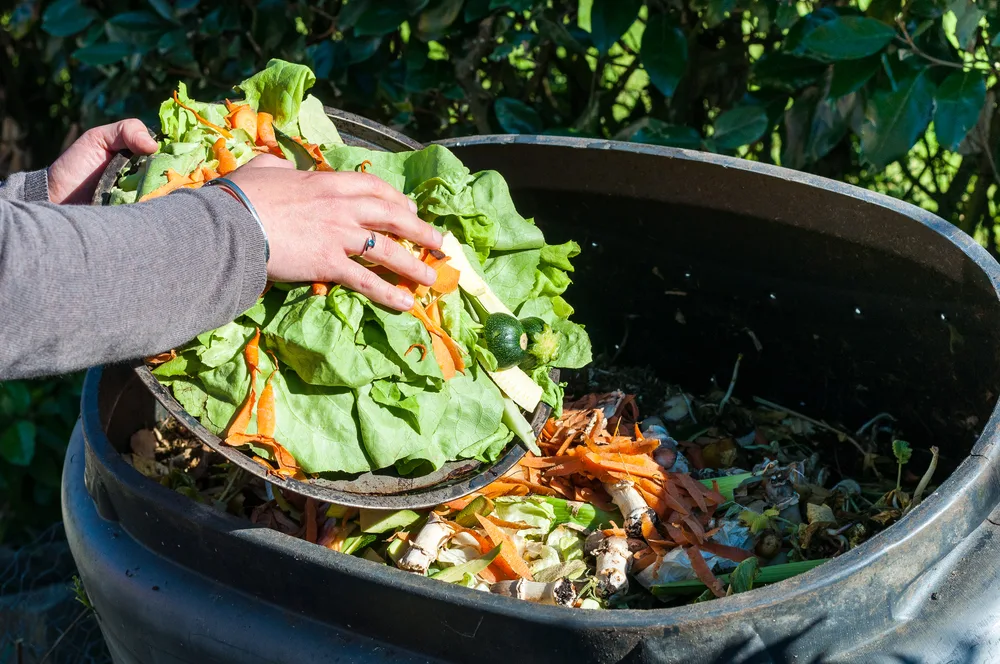 8 Common Soil Composting Mistakes (and How to Fix Them)