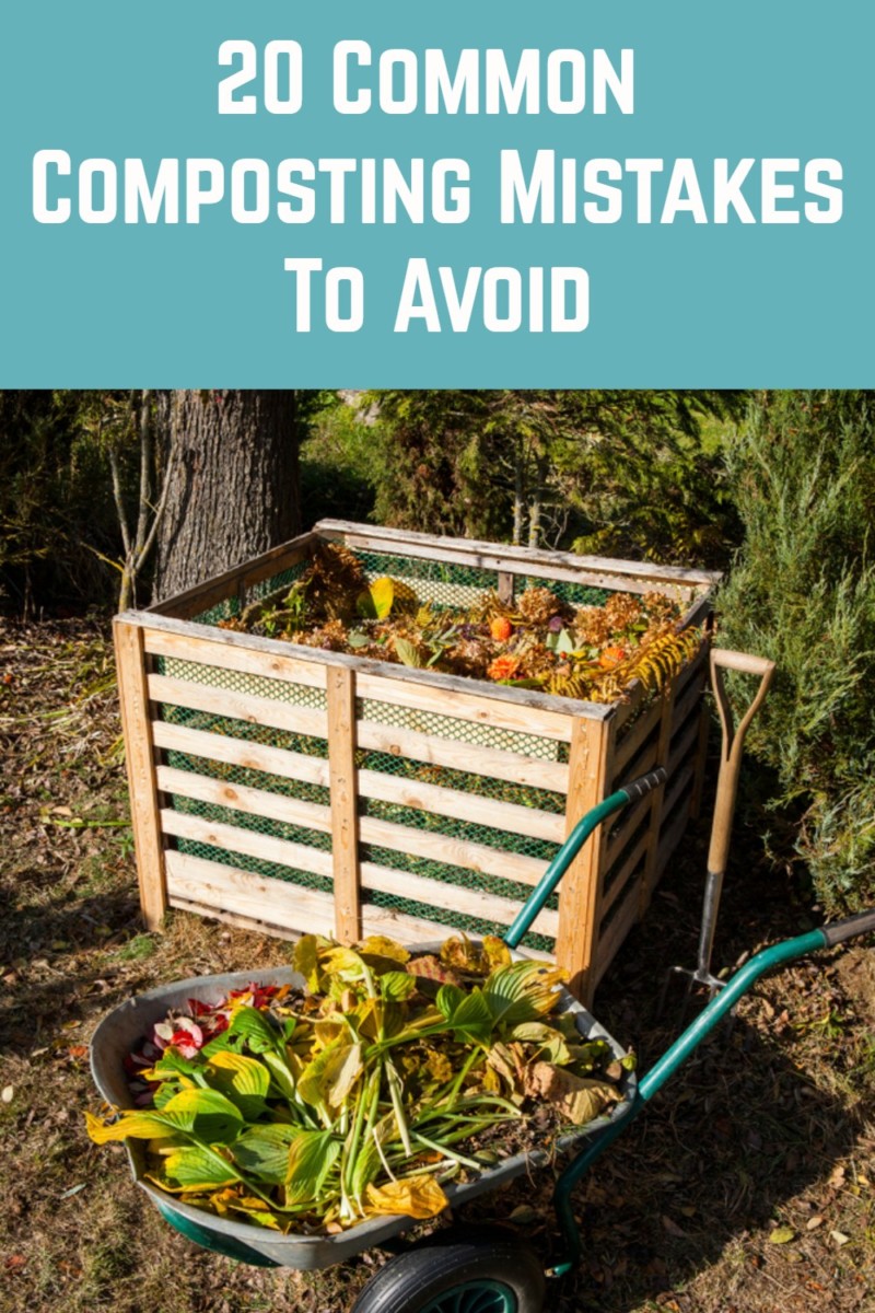 20 Common Composting Mistakes To Avoid