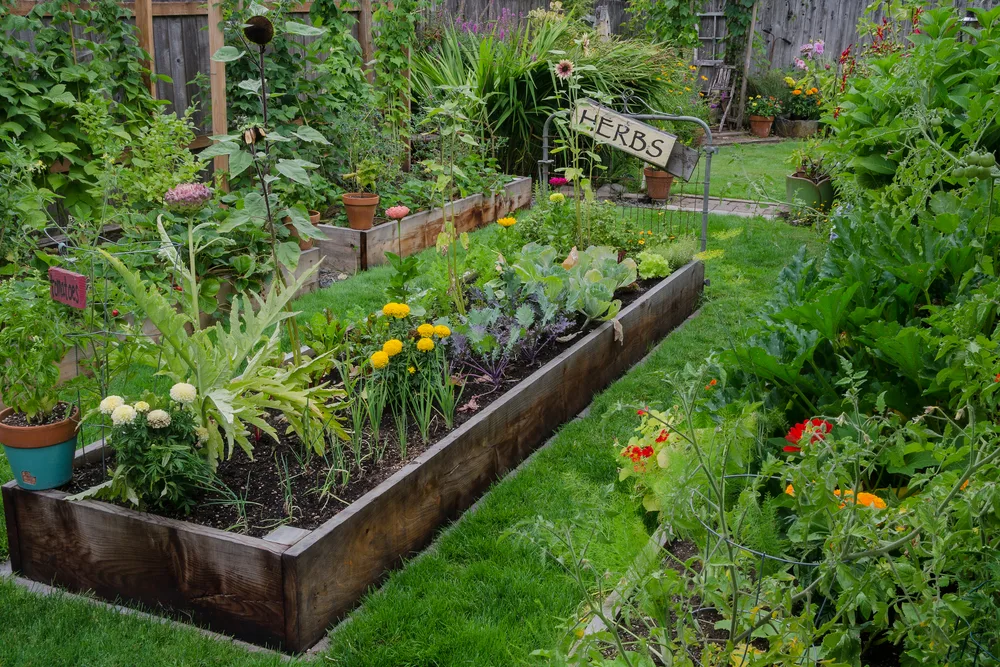 20 Tips For A Beautiful & Productive Low Maintenance Garden