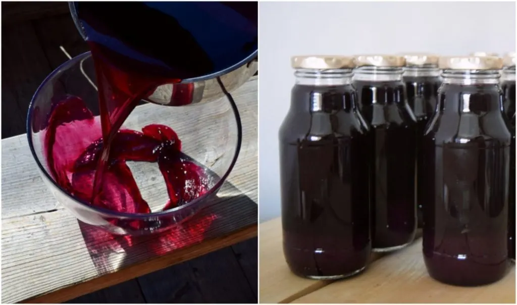 Homemade Grape Juice • From the Hart Farm