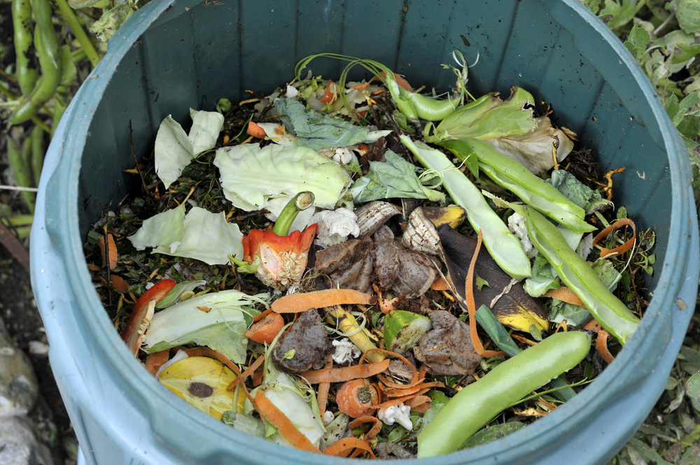 Compost Bin 2 