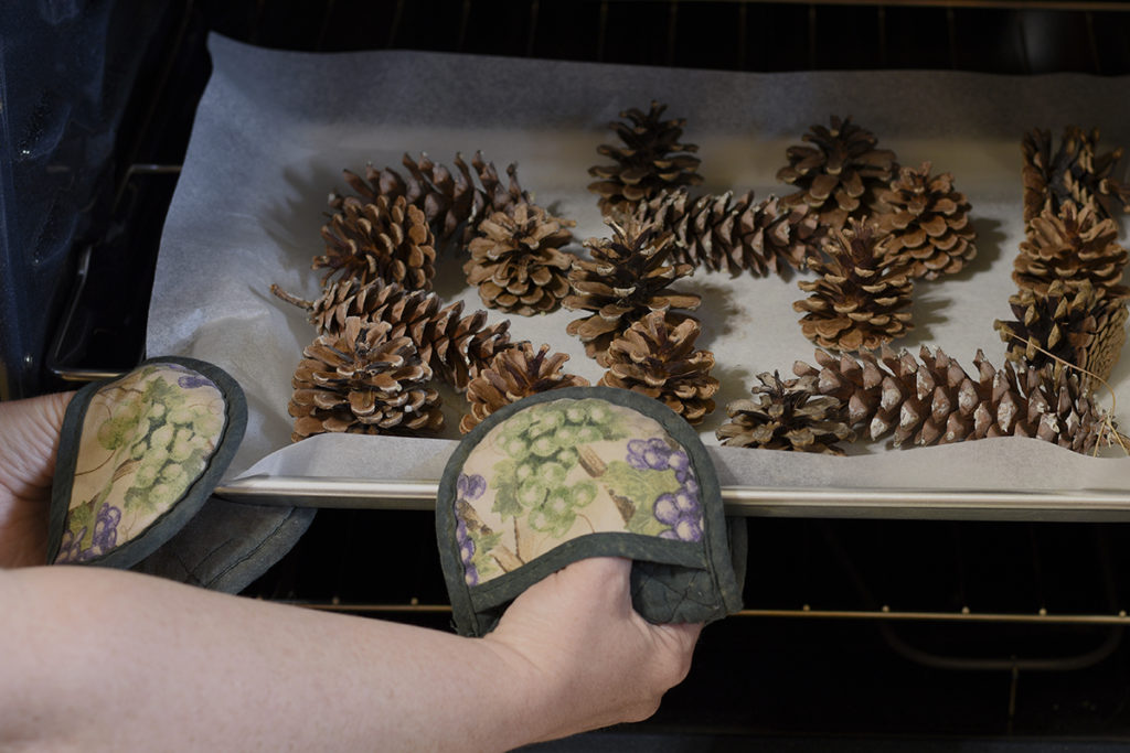 Pine needles and cones can be composted but it's a slow process