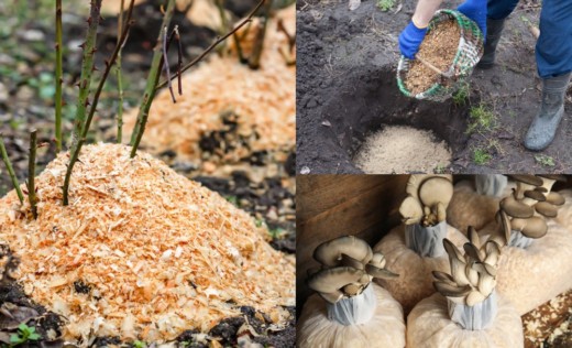 11 Smart Uses For Sawdust Around Your Home & Garden