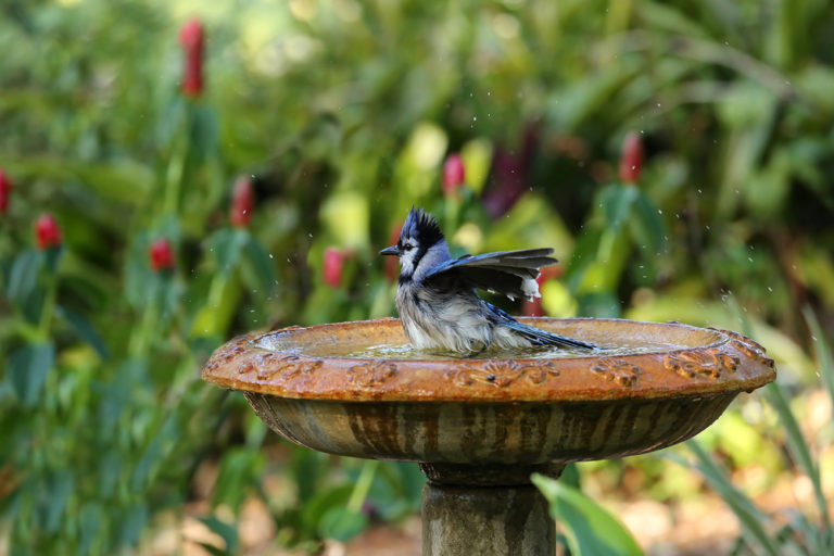 How To Make A DIY Rustic Hanging Bird Bath