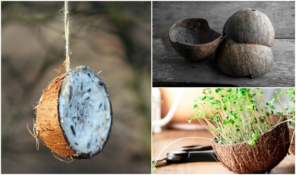 8 Genius Uses For Coconut Shells