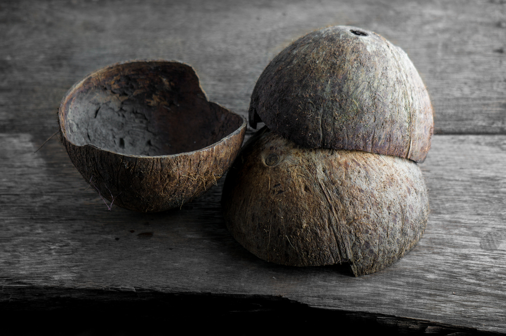 8 Genius Uses For Coconut Shells