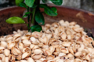 7 Surprising Uses For Pistachio Shells In The Home & Garden