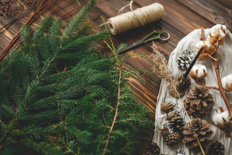 9 Plants to Forage For Natural Christmas Decorations