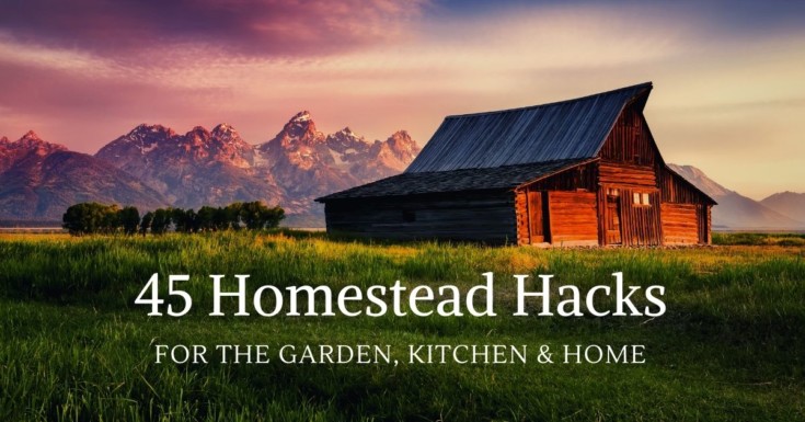 45 Homestead Hacks For The Garden, Kitchen & Home