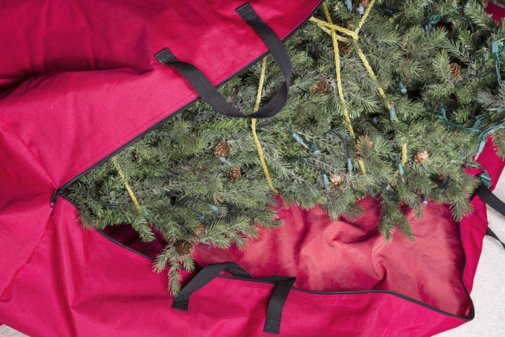 Real Vs Fake - 9 Reasons To Choose A Real Christmas Tree This Year