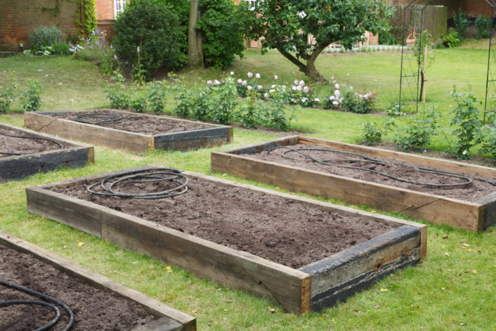 14 Common Raised Bed Mistakes You Must Avoid