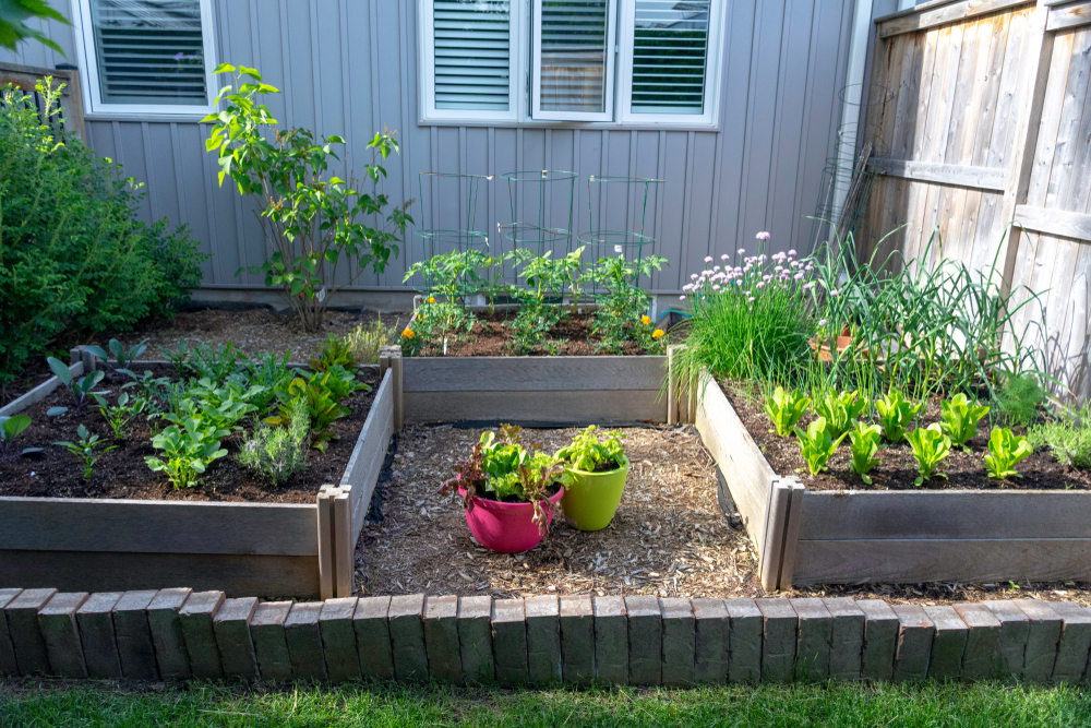 square flower bed ideas