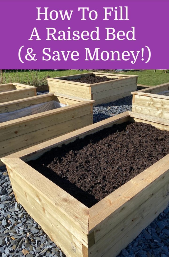 How To Fill A Raised Bed With Healthy Soil (& Save Money!)