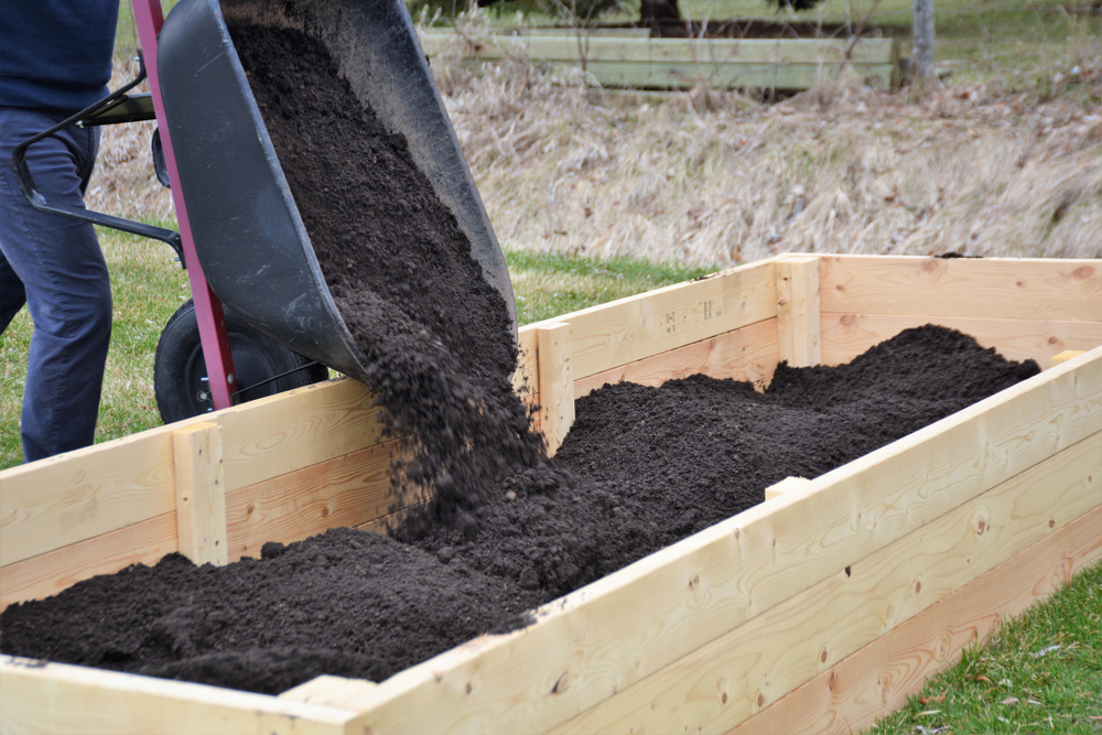 Compost To Soil Ratio For Raised Beds At Luther Morton Blog