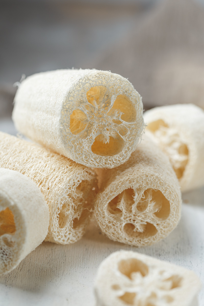 How To Grow Loofah Sponges & 9 Brilliant Ways To Use Them