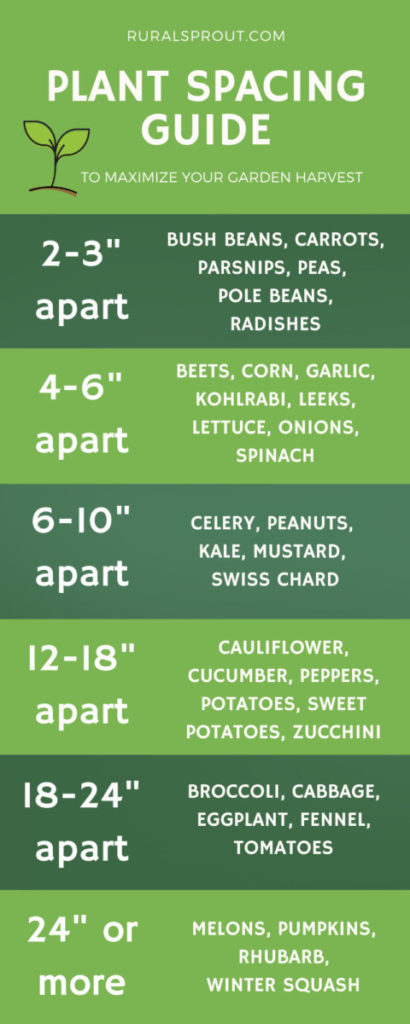 Plant Spacing 30 Vegetables Their Spacing Requirements   Plant Spacing Guide 410x1024 