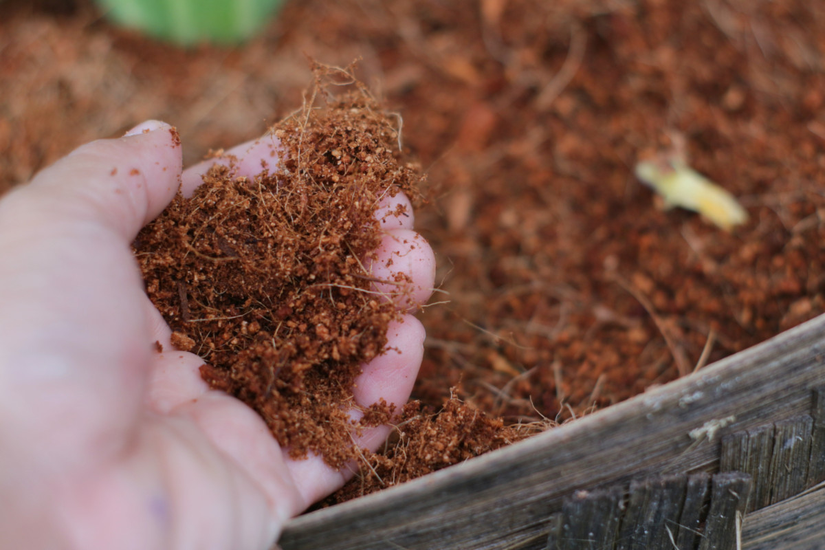 how-to-make-the-perfect-potting-soil