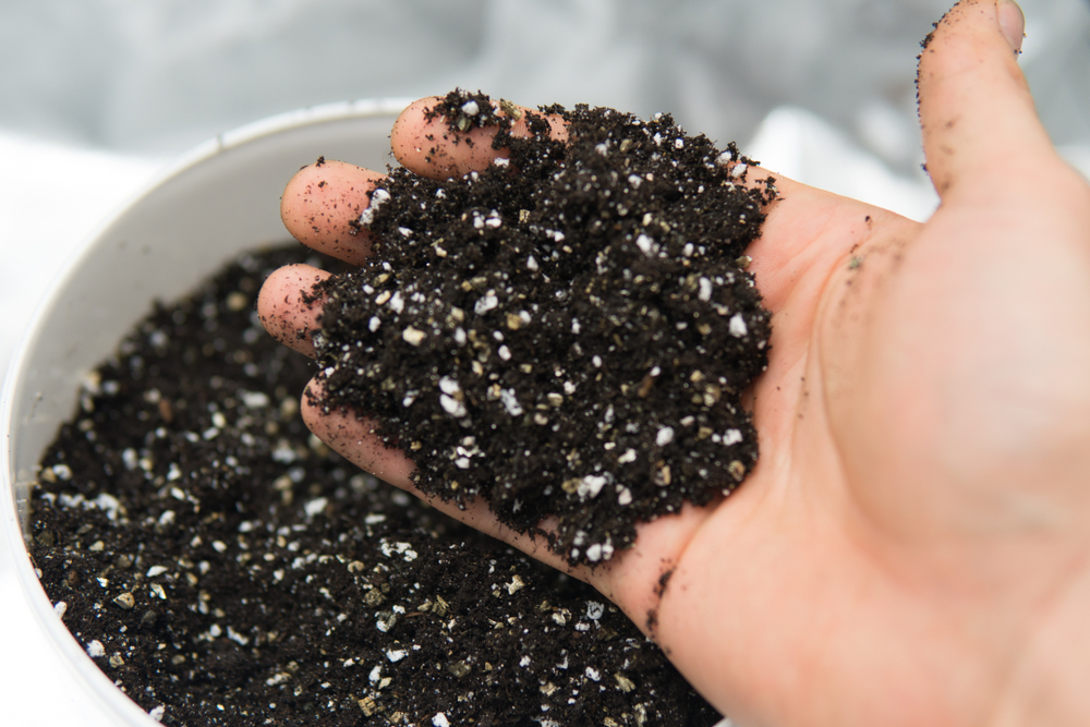 How To Make The Perfect Potting Soil