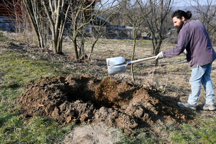 How To Completely Remove a Tree Stump By Hand