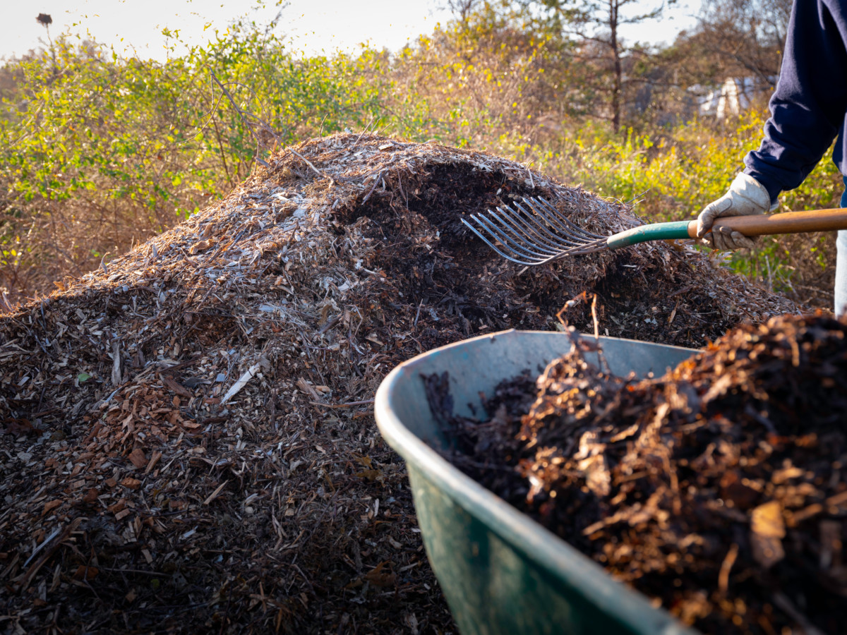 hot-composting-turn-food-waste-into-compost-in-record-time