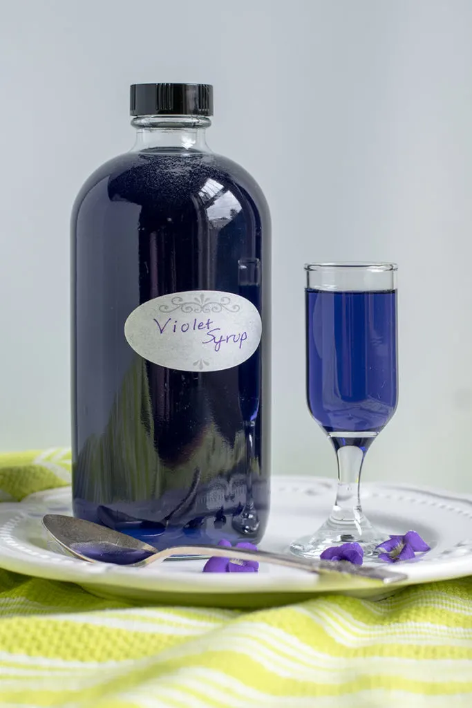 Foraging Violets And Homemade Violet Syrup