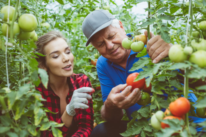 9 Worst Pieces of Gardening Advice that Keep Getting Passed On