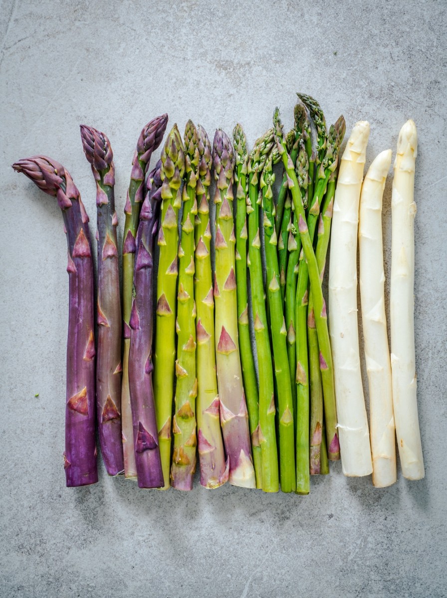 How To Plant An Asparagus Bed - Plant Once & Harvest For 30+ Years