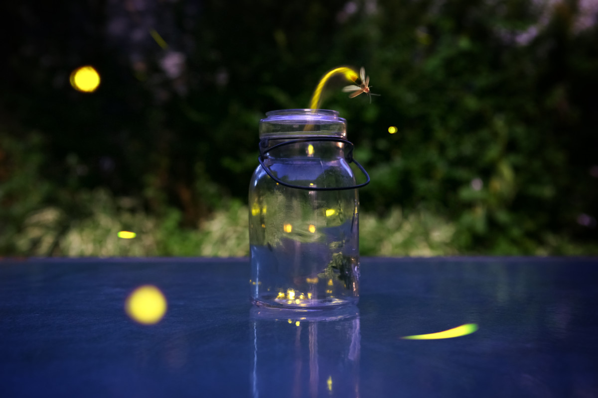 7 Simple Steps to Attracting More Fireflies to Your Backyard