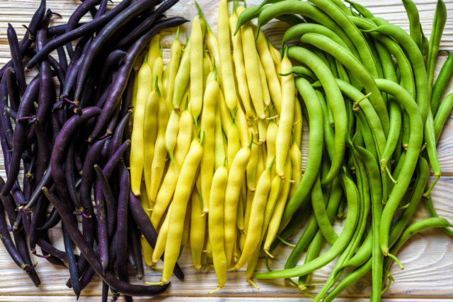 The Ultimate Green Bean Growing Guide - from Planting to Harvesting